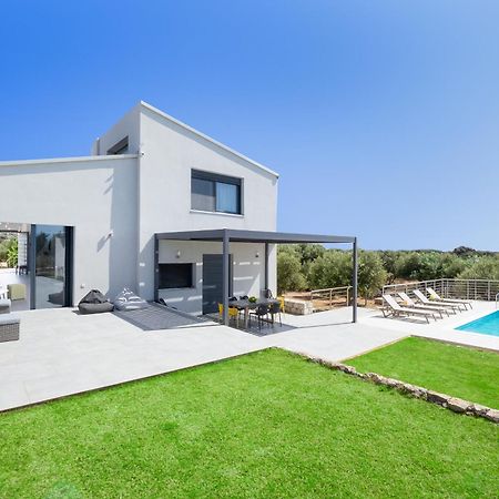 Elixsea Villa - Unlimited View Of The Blue Sea Kounoupidhiana Exterior photo