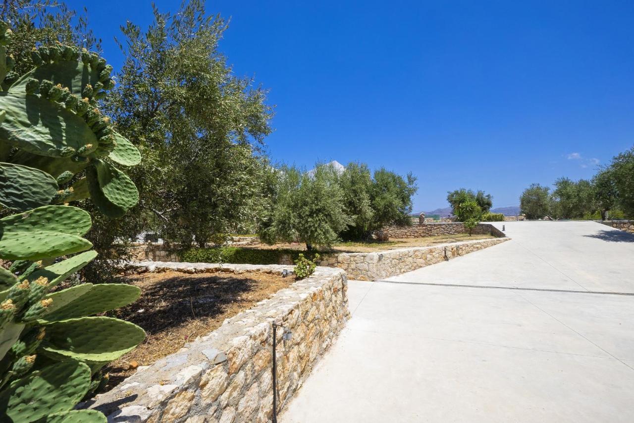 Elixsea Villa - Unlimited View Of The Blue Sea Kounoupidhiana Exterior photo